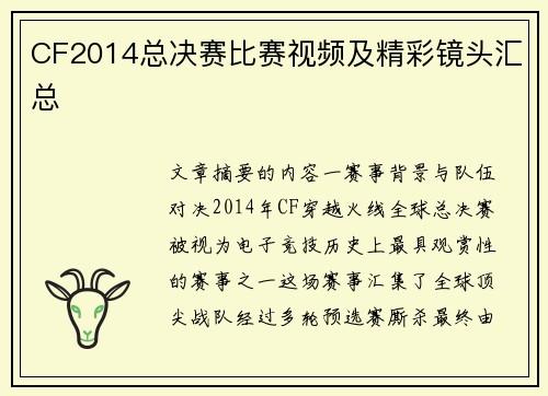 CF2014总决赛比赛视频及精彩镜头汇总